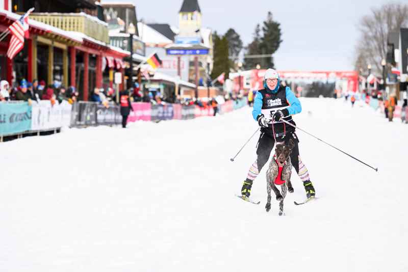 cross country skier with dog