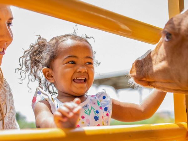 Animals & Agriculture