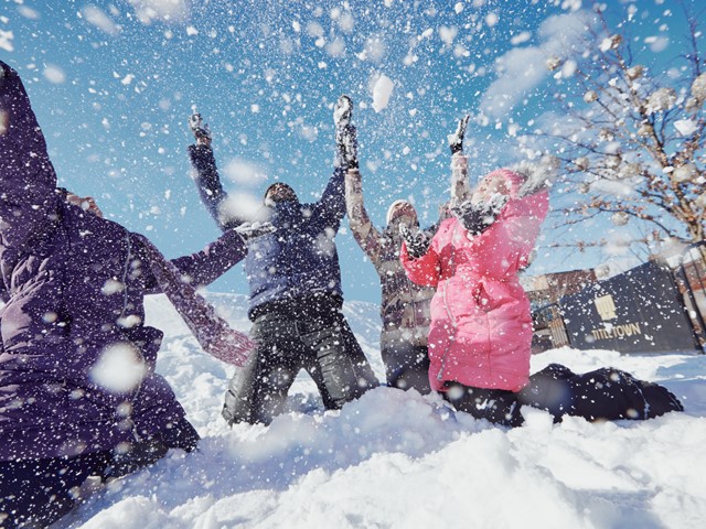 Top Hiking and Snowshoeing Spots Near Green Bay