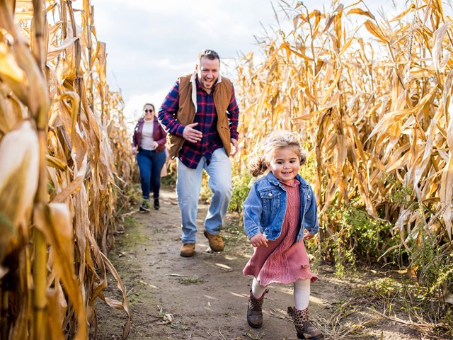 Farm Fresh: Experience Agritourism in Wisconsin