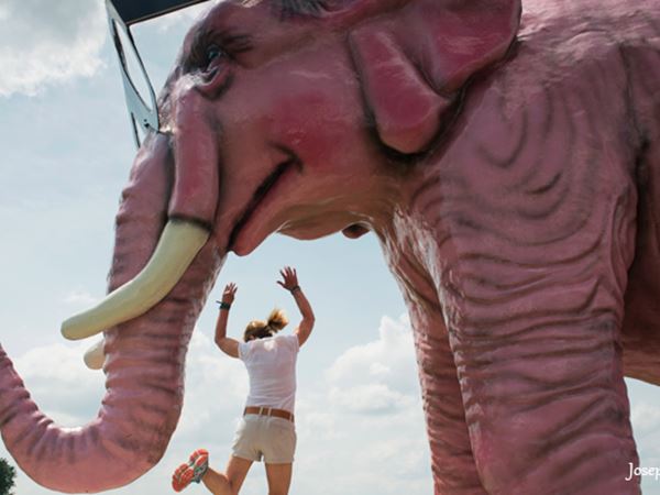 3 Pinkie the Elephant